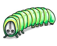 Catapillar